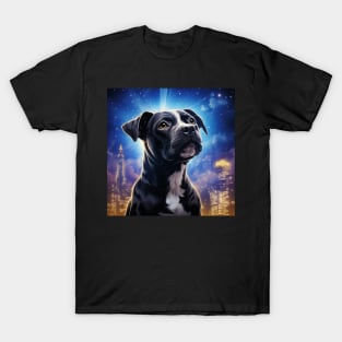 Staffy Shine T-Shirt